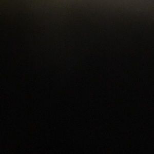 Meet your Posher, Bella